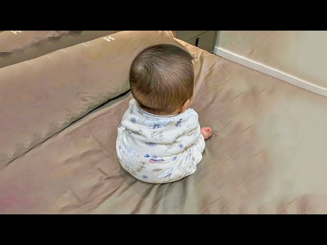 Funny Baby Videos - The Cutest Chubby Baby Compilation