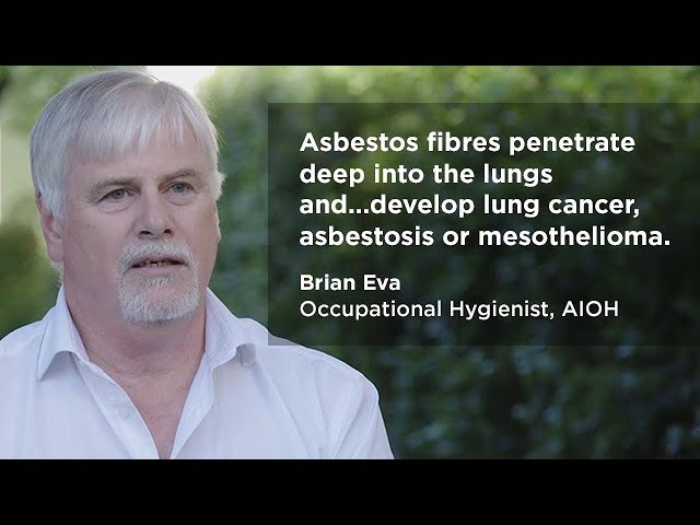 Asbestos basics for duty holders