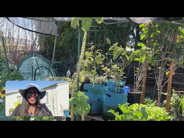 “February ‘25 Garden Adventures: Garden Inspiration” #youtube #video #garden #gardentour