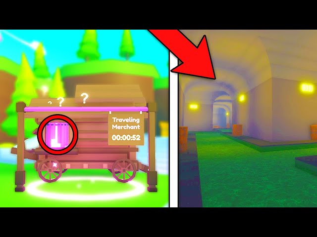 I Found a BIG SECRET inside the TRAVELING MERCHANT in Pet Simulator X!