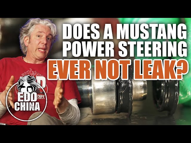 Is It Possible For A Mustang Power Steering To Ever Not Leak? | Workshop Diaries | Edd China Ep 32