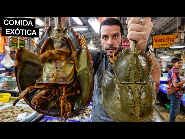 Comendo nos MERCADOS mais EXÓTICOS da Tailândia!! 🇹🇭