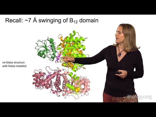 Catherine Drennan (MIT/HHMI) Part 3: Metalloproteins and the Environment