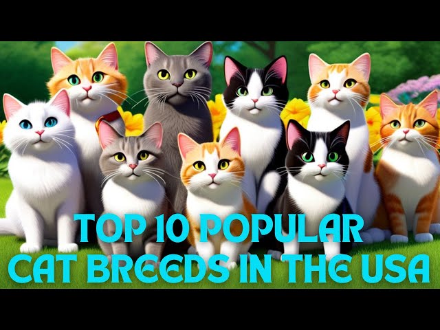 Top 10 Popular Cats in the US | #catfacts #bestcatbreeds