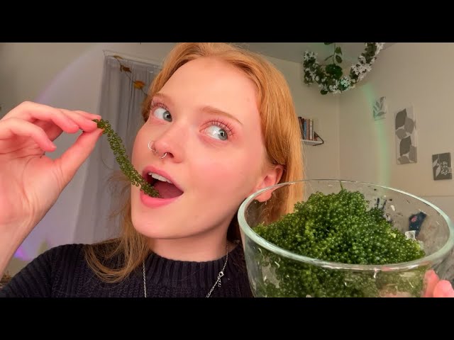 ASMR ~ TRYING SEA GRAPES (CRUNCHY EATING SOUNDS) 🌊🍇💚