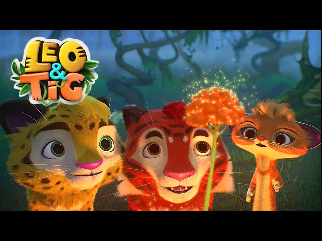 Leo and Tig 🦁 New friend 🐯 Funny Family Good Animated Cartoon for Kids