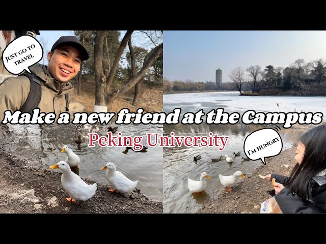 【Just Pai Tiew × Coco】北京大学で新しいお友達が出来ました！Make a new friend at the Campus /Peking University สวัสดีค่ะ