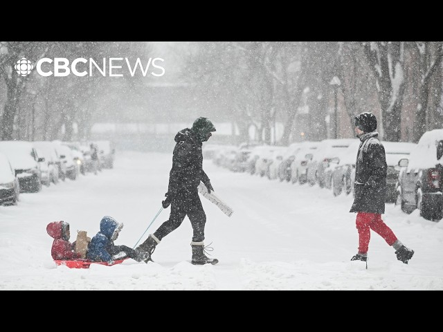 Winter weather across eastern Canada affecting schools, mail and flights