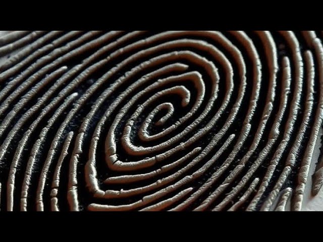 Why Do We Have Fingerprints? | ELI5 Science Explained