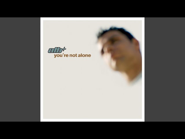 You're Not Alone (Airplay Mix)