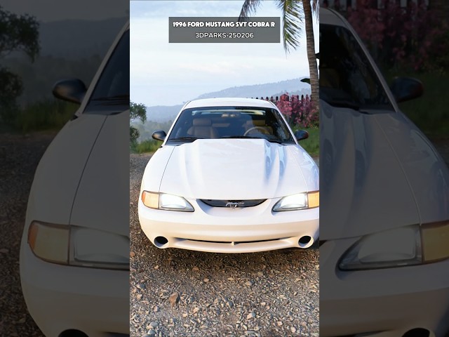 1996 Ford Mustang SVT Cobra R | Commentary | Car of the Day