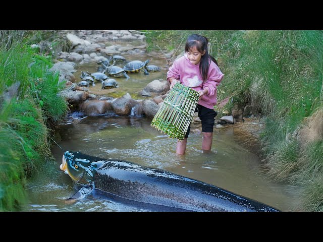 Making an ancient trap from many bamboo tubes, The poor girl harvested many giant fish | Poor Girl +