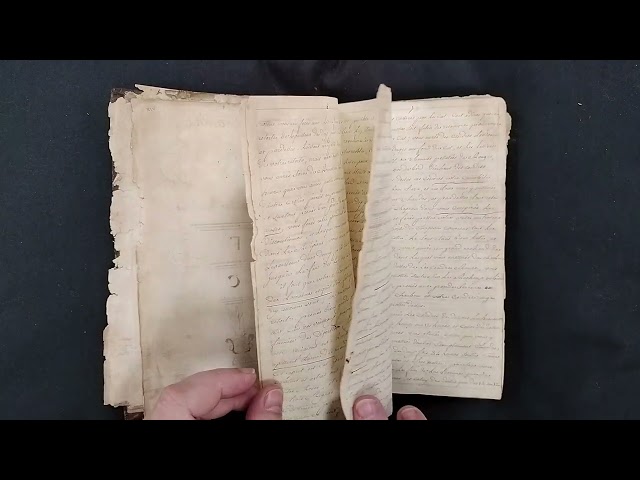 Penn Library's Ms. Codex 1665 - [Alchemical compilation]. (Video Orientation)