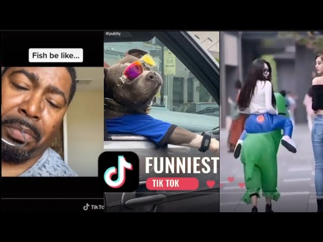 The FUNNIEST TIKTOK MEMES | FUNNY TIK TOK COMPILATION 2022