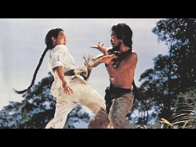 Daredevil Master || Best Chinese Action Kung Fu Movies In English