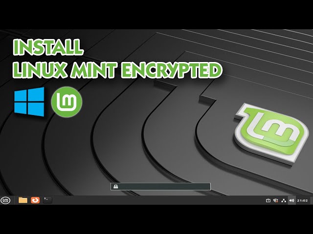 The RIGHT Way to Dual Boot Linux Mint And Windows | No Boot Issues