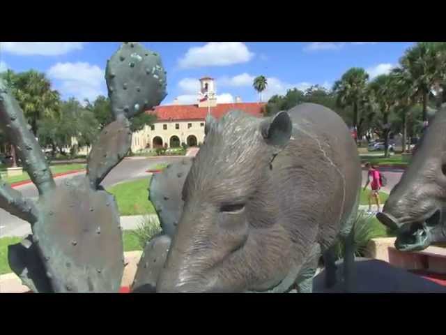 Texas A&M University-Kingsville Rio Grande Valley Engineering Initiative