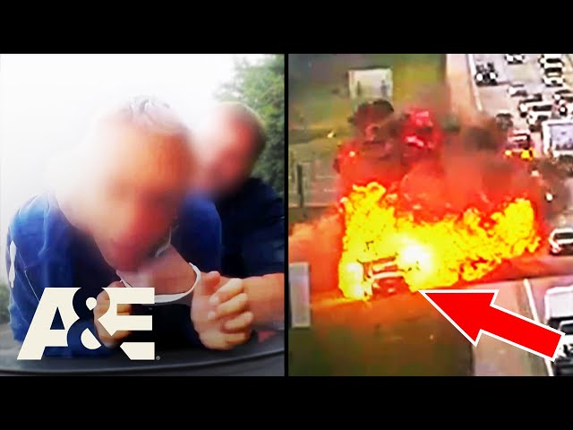 Distracted Driving Disasters - Top 9 Moments - Part 2 | Road Wars | A&E