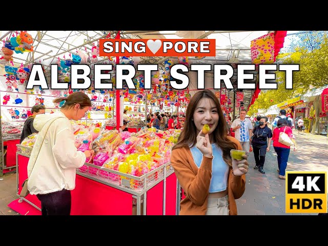 Singapore Mid Autumn Festival | Albert Street Mid Autumn Market 🇸🇬🥮🏮