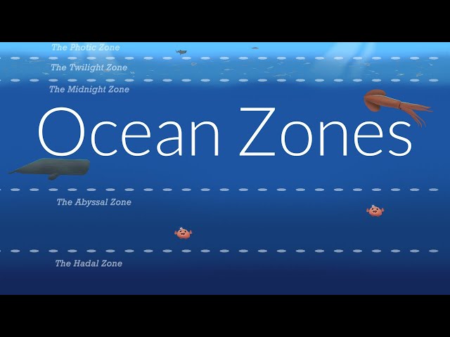 Ocean Zones | Nautilus Live