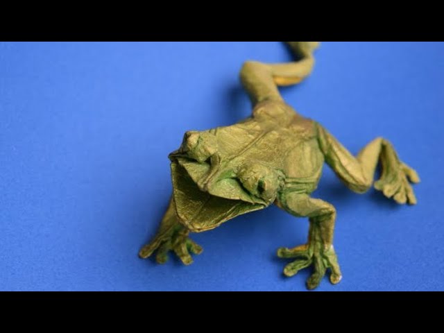 Origami Tree Frog by Petr Stuchly