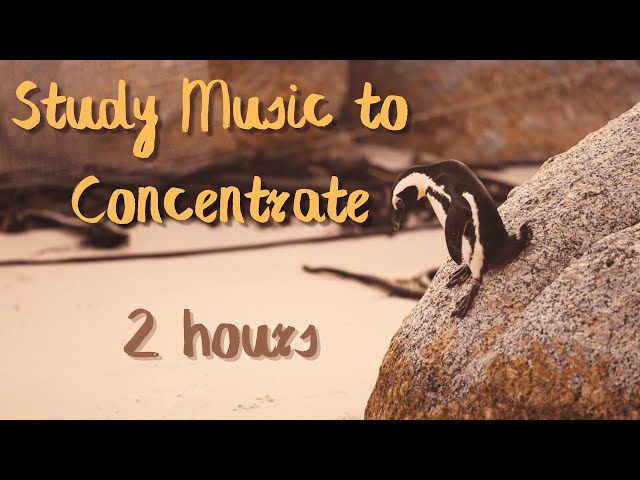 Relaxing Study Music to Concentrate | Deep Focus Music | 2 Hours