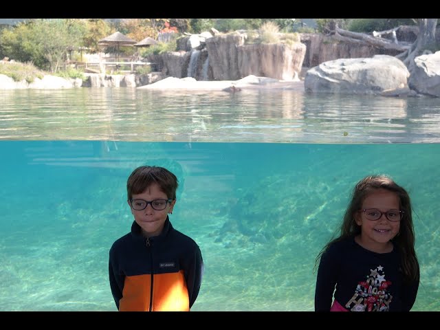 Dallas Zoo filmed in vr180, The twins visit Gorillas, Chimpanzees and Vultures