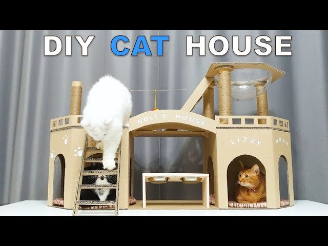 DIY Amazing Cat House for Three cats from Cardboard (Noah vs Nara and Lizzy)