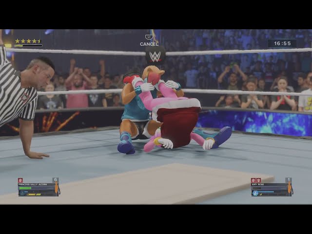 Sally Acorn Vs. Amy Rose In A Extreme 30Min Iron Woman Match