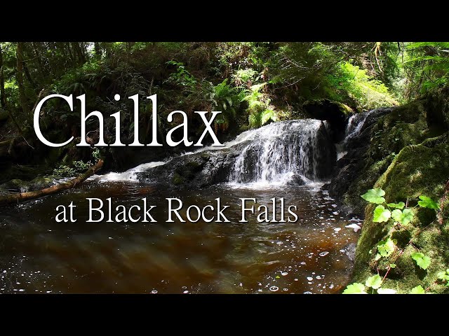 The Chillarium: Black Rock Falls (VR180)