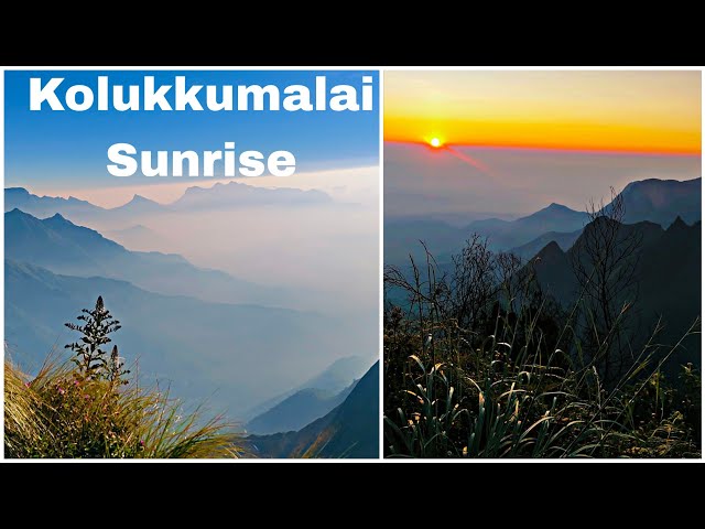 Kolukkumalai sunrise view point / munnar/ kolukkumalai trekking #kolukkumalai #munnar