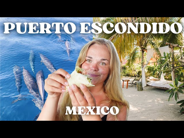 Puerto Escondido Mexico Travel Vlog | Dolphin tour, beaches & restaurants 🐬