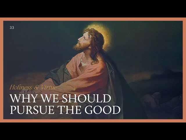 Pursue the Good Because It's Good (Use Your Conscience) | MEDITATIONS | Fr Gavan Jennings