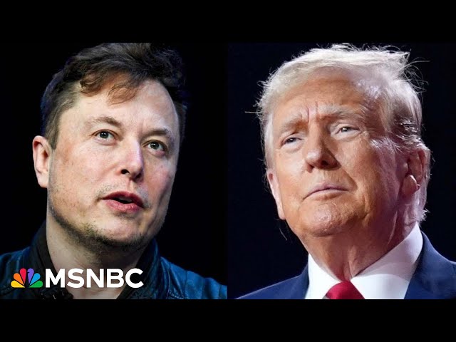 'Complete and utter incompetence': Musk and Trump doing 'enormous damage' to govt.