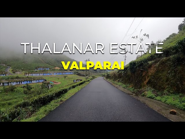 Thalanar Estate Car Drive | Valparai | Holiday Hotspot