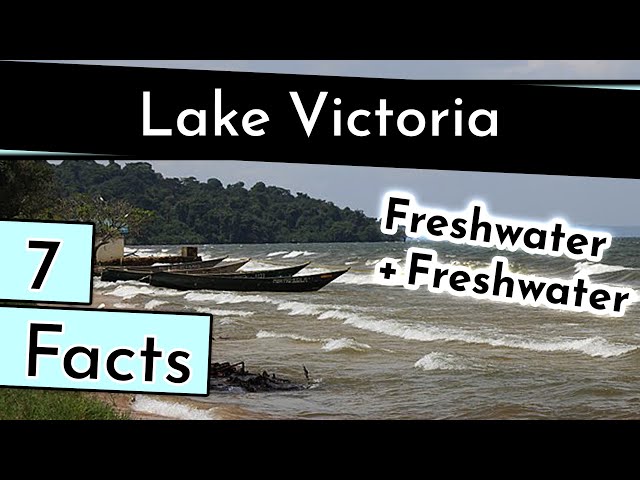 7 African Facts about Lake Victoria