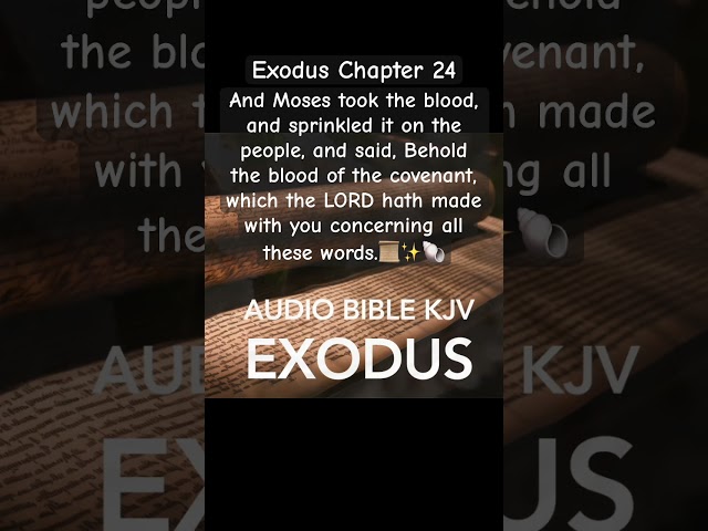 Seal of the Covenant: Moses, Blood, and God's Law#shorts #exodus #bible #bibleverse