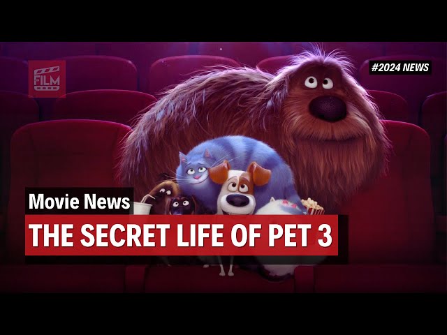 The Secret Life Of Pets 3 Release Date! | Movie News 2024!