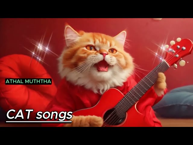 Cat funny(පූසා) CAT SONG