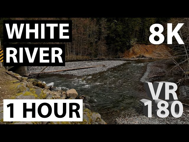 1 Hour of a Relaxing River in 8K, VR180