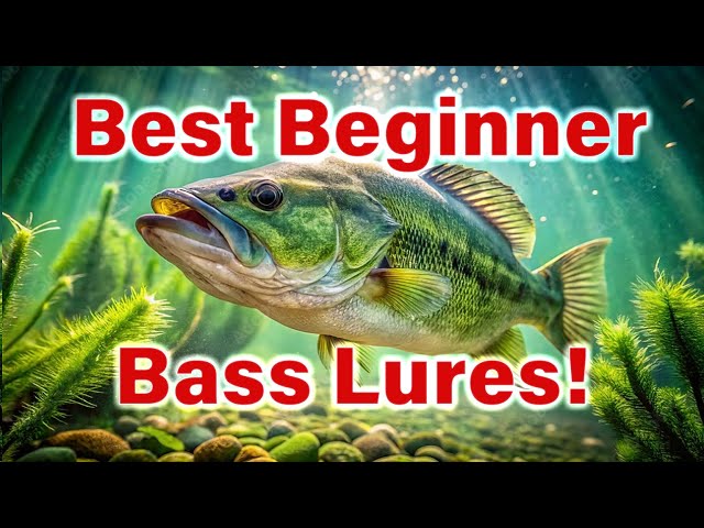 🎣 Beginner’s Guide to Bass Fishing in 2025 – The Only 3 Lures You Need!