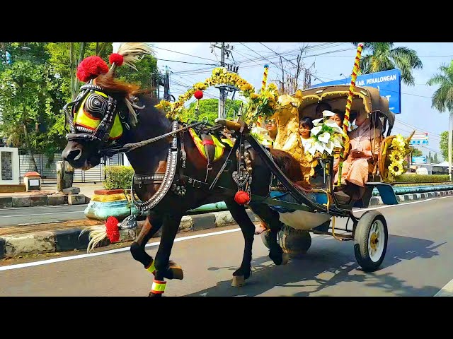 HORSE RIDING - NAIK KUDA DELMAN - NAIK DELMAN ISTIMEWA - WHEELS ON THE BUS COCOMELON - OLD MACDONALD