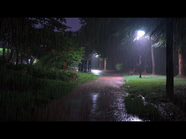 Sleep Instantly with Heavy Rainstorm and Thunder Sounds Covering the Park at Night, Rain Sound ASMR