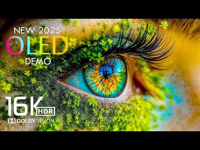 16K Video ULTRA HD 1000 FPS - Dolby Vision 16K HDR