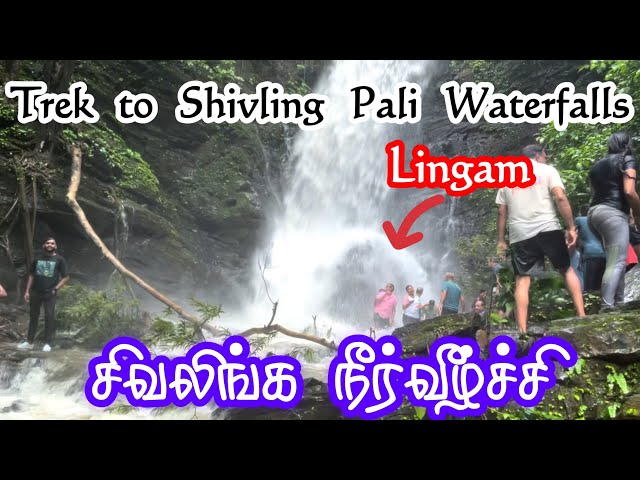 Goa Monsoon Trekking 2023 | Shivling Pali Waterfalls | Mhadei Wildlife Sanctuary #day2 #yhai