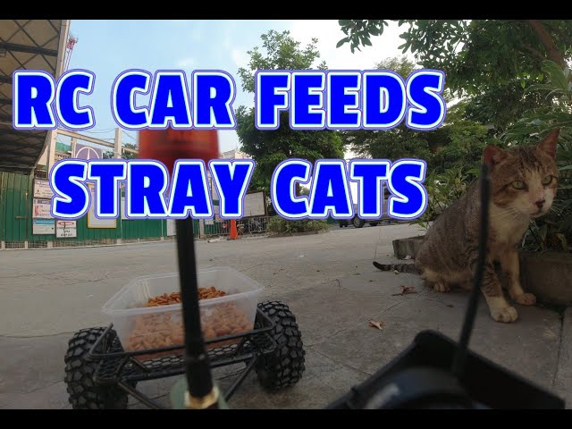 FPV RC Car Feeds Stray Cats on a Trailer - Part 1