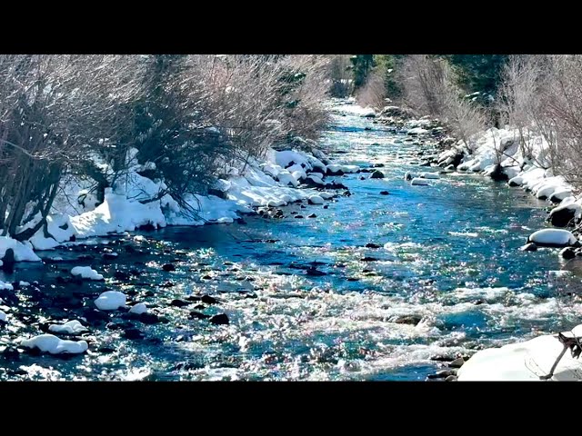 Relaxing River Sounds 8 Hours I River I Snow I HD 1080p - Nature Sounds