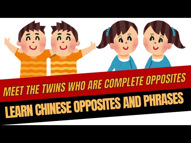 Twins Who Are Complete Opposites! Learn Chinese Opposites and Phrases the Fun Way!