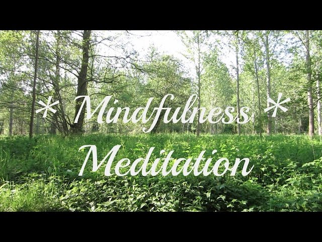 15 MINUTES of Flowing Water and Nature Sounds - Mindfulness Meditation *Relaxing *Soothing