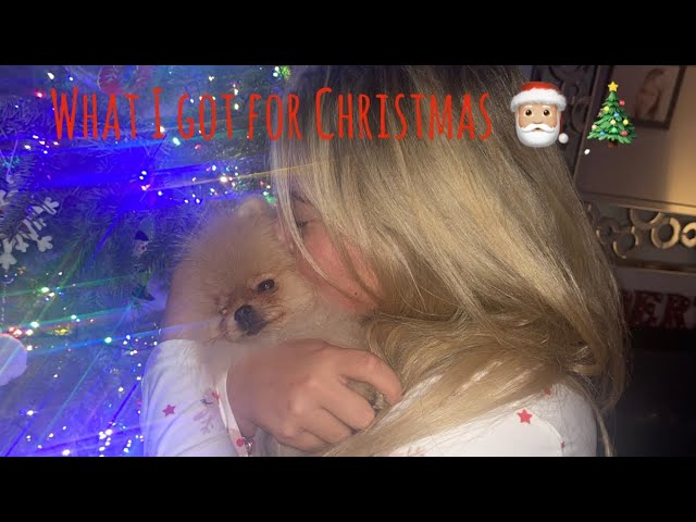 CHRISTMAS VLOG | HAUL